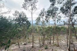 Terreno Rústico em Ramalhal a 10 minutos de Torres Vedras