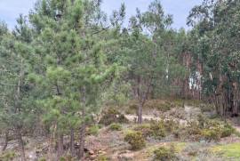 Terreno Rústico em Ramalhal a 10 minutos de Torres Vedras