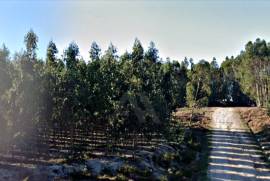Terreno Rústico em Ramalhal a 10 minutos de Torres Vedras