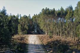 Terreno Rústico em Ramalhal a 10 minutos de Torres Vedras