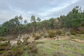 Terreno Rústico em Ramalhal a 10 minutos de Torres Vedras
