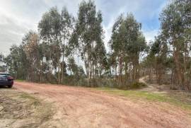 Terreno Rústico em Ramalhal a 10 minutos de Torres Vedras