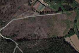 Terreno Rústico em Ramalhal a 10 minutos de Torres Vedras