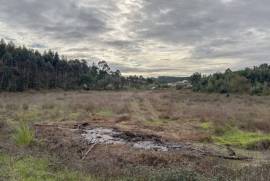 Terreno Rústico em Vale Fontainhas a 40 minutos de Lisboa