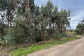 Terreno Rústico em Vale Fontainhas a 40 minutos de Lisboa