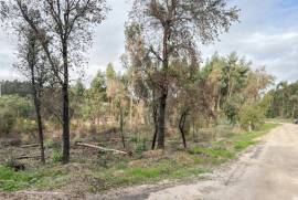 Terreno Rústico em Vale Fontainhas a 40 minutos de Lisboa