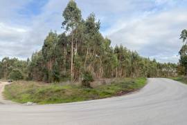 Terreno Rústico em Vale Fontainhas a 40 minutos de Lisboa