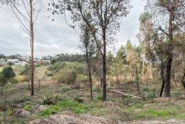 Terreno Rústico em Vale Fontainhas a 40 minutos de Lisboa