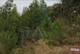 Terreno Rústico em Vale Fontainhas a 40 minutos de Lisboa