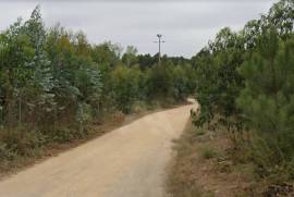 Terreno Rústico em Vale Fontainhas a 40 minutos de Lisboa