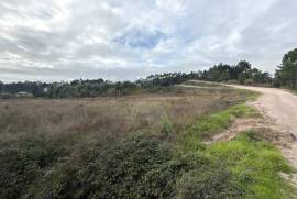 Terreno Rústico em Vale Fontainhas a 40 minutos de Lisboa