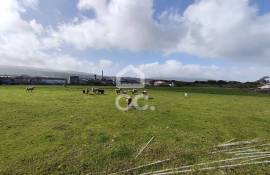 Warehouse with Plot for construction