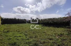 Warehouse with Plot for construction