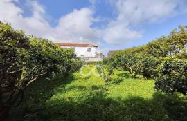 Warehouse with Plot for construction