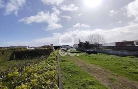 Warehouse with Plot for construction