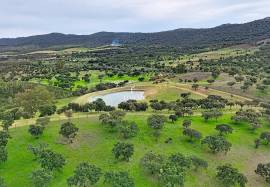 Investment in the natural environment: 45 ha estate with buildings and rural tourist potential