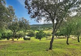 Investment in the natural environment: 45 ha estate with buildings and rural tourist potential