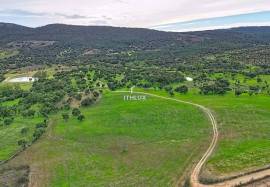 Investment in the natural environment: 45 ha estate with buildings and rural tourist potential