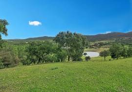 Investment in the natural environment: 45 ha estate with buildings and rural tourist potential