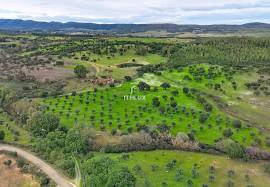 Investment in the natural environment: 45 ha estate with buildings and rural tourist potential