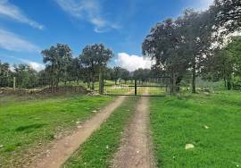 Investment in the natural environment: 45 ha estate with buildings and rural tourist potential