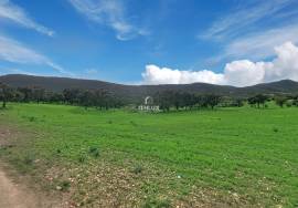 Investment in the natural environment: 45 ha estate with buildings and rural tourist potential