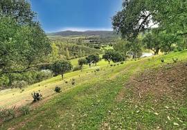 Investment in the natural environment: 45 ha estate with buildings and rural tourist potential