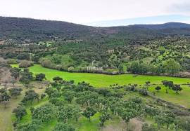 Investment in the natural environment: 45 ha estate with buildings and rural tourist potential