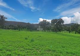 Investment in the natural environment: 45 ha estate with buildings and rural tourist potential