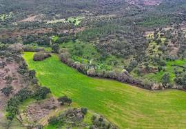 Investment in the natural environment: 45 ha estate with buildings and rural tourist potential