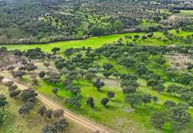 Investment in the natural environment: 45 ha estate with buildings and rural tourist potential