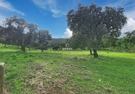 Investment in the natural environment: 45 ha estate with buildings and rural tourist potential