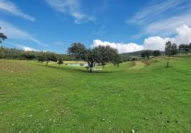 Investment in the natural environment: 45 ha estate with buildings and rural tourist potential