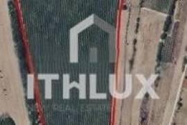 Land with 18.47 ha in Alforzemel – Ideal for Rural Tourism, Housing or Agricultural Project Land with 18.47 ha in Alforzemel – Ideal for Rural Tourism, Housing or Agricultural Project