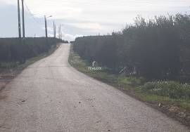 Land with 18.47 ha in Alforzemel – Ideal for Rural Tourism, Housing or Agricultural Project Land with 18.47 ha in Alforzemel – Ideal for Rural Tourism, Housing or Agricultural Project