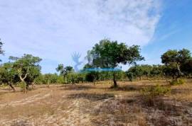 Estate with cork oak forest of excellence located in Grândola