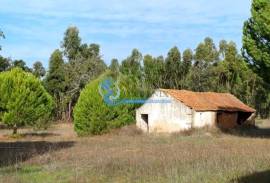 Estate with cork oak forest of excellence located in Grândola