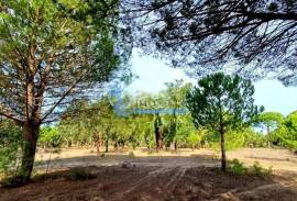 Estate with cork oak forest of excellence located in Grândola