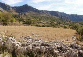 Casita Benaocaz Country Property