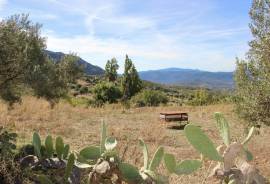 Casa Domingo Country Property