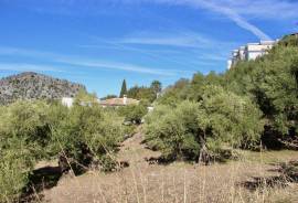 Casa Domingo Country Property