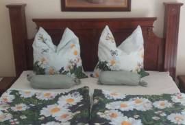 Luxury 4 Bed Villa For Sale In Clermont Near Disney Land Florida USA