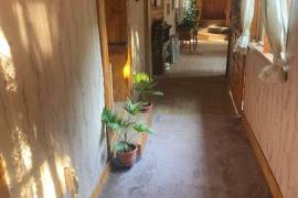 4 Bed Country House For sale in Traykovo LOM Bulgaria 4 Bed Country House For sale in Traykovo LOM Bulgaria