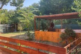 4 Bed Country House For sale in Traykovo LOM Bulgaria 4 Bed Country House For sale in Traykovo LOM Bulgaria