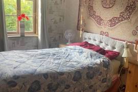 4 Bed Country House For sale in Traykovo LOM Bulgaria 4 Bed Country House For sale in Traykovo LOM Bulgaria
