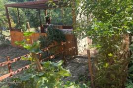 4 Bed Country House For sale in Traykovo LOM Bulgaria 4 Bed Country House For sale in Traykovo LOM Bulgaria