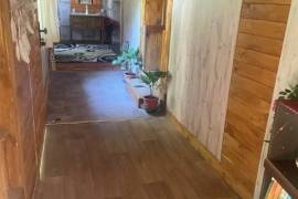 4 Bed Country House For sale in Traykovo LOM Bulgaria 4 Bed Country House For sale in Traykovo LOM Bulgaria