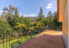 Dream Refuge in Santo da Serra – Sítio do Pomar do Gil - Country House for rent Dream Refuge in Santo da Serra – Sítio do Pomar do Gil - Country House for rent