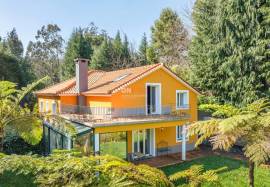 Dream Refuge in Santo da Serra – Sítio do Pomar do Gil - Country House for rent