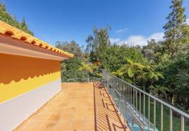 Dream Refuge in Santo da Serra – Sítio do Pomar do Gil - Country House for rent Dream Refuge in Santo da Serra – Sítio do Pomar do Gil - Country House for rent